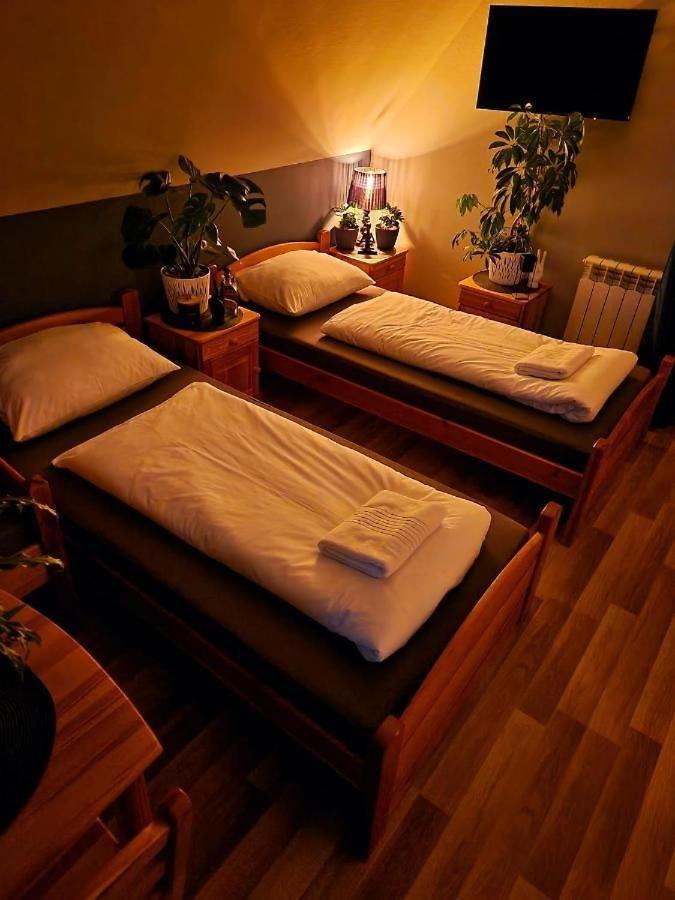 ブコビナ・タトシャンスカ Harmatowka Bed & Breakfast エクステリア 写真